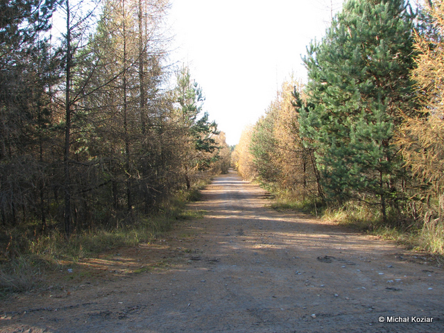 Pozostałość po asfaltowych drogach w 20. dt OPK m. Olkusz-Hutki.