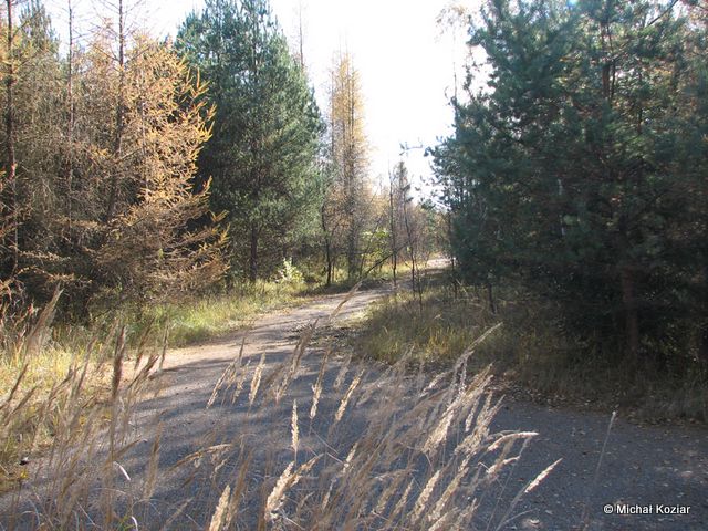 Pozostałość po asfaltowych drogach w 20. dt OPK m. Olkusz-Hutki.