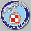Odznaka Sił Powietrznych RP