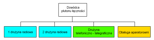 Struktura organizacyjna plutonu cznoci dywizjonu rakietowego OP.