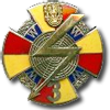 Odznaka 3. BRt